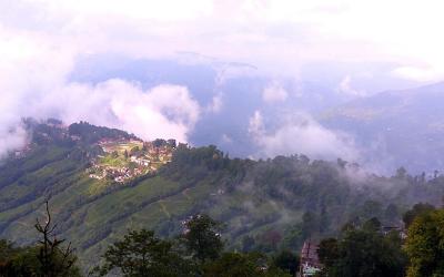 Landscape